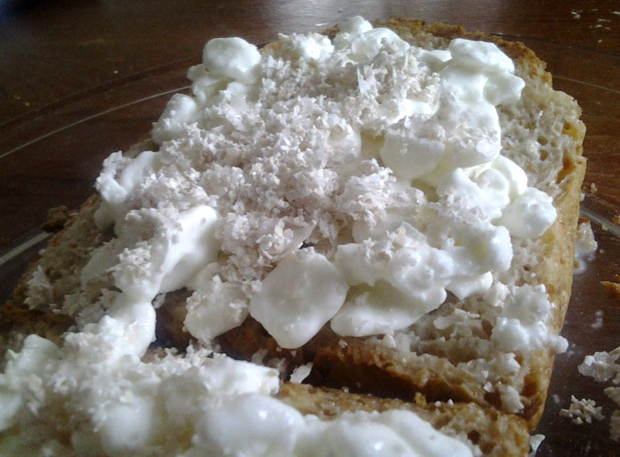 Paahtoleipää raejuustolla ja munamurskeella. Kuva: Laitakaupungin kanat.