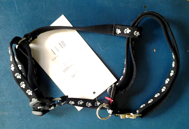 Koiranpennun valjaat kanalle. Kuva: Laitakaupungin kanat.