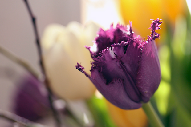 Nappituntuma: Pääsiäisen aikaan Nappituntuma: Pääsiäisen aikaan