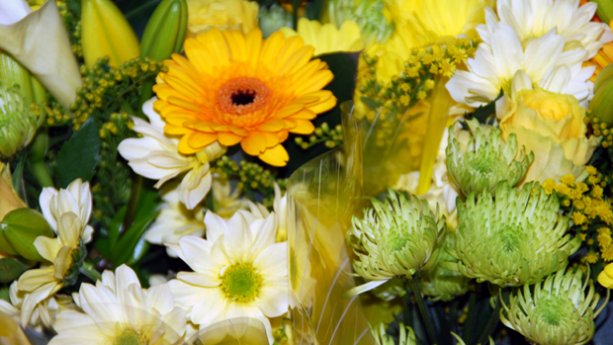 Nyt ostetaan kukkia äidille! Kuva: Yle Olotila, Anni Alatalo. Nyt ostetaan kukkia äidille! Kuva: Yle Olotila, Anni Alatalo.