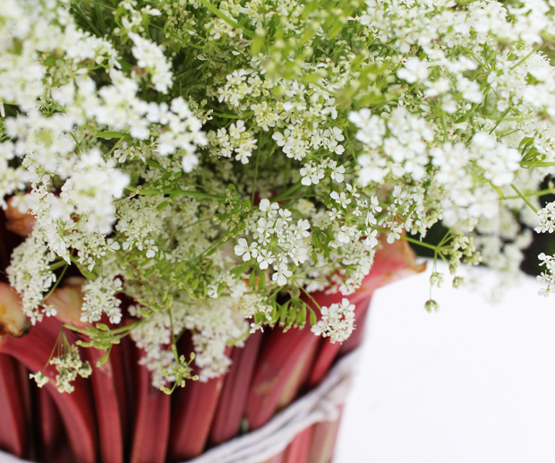 Raparperi koristaa kukkamaljakon. Kuva: Ulla Vuorela