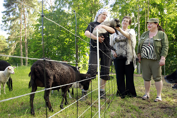 Sissipuutarhurit Forssassa Sissipuutarhurit Forssassa