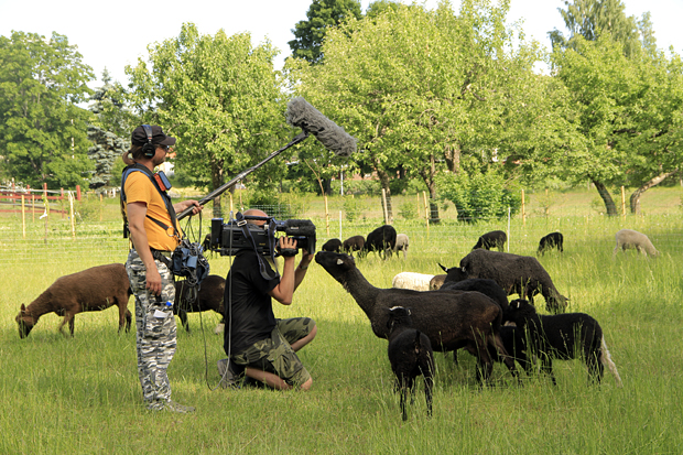 Sissipuutarhurit Forssassa Sissipuutarhurit Forssassa