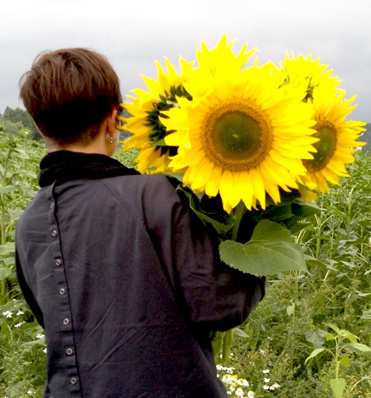 Auringonkukkia Haltialassa. Kuva: Seija Aunila. Auringonkukkia Haltialassa. Kuva: Seija Aunila.