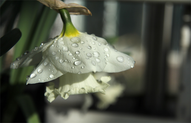 Kuva: Ada Pykäläniemi Kuva: Ada Pykäläniemi