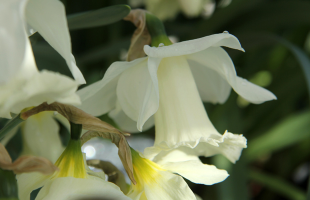 Kuva: Ada Pykäläniemi Kuva: Ada Pykäläniemi