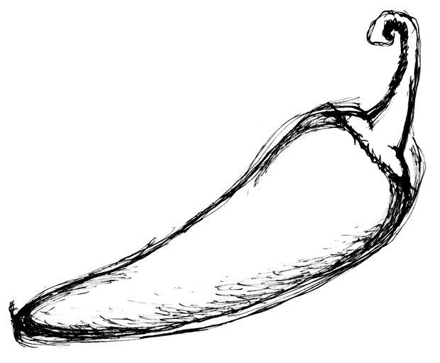 Miten saada pikkulapset syömään vihanneksia? Kuva: stock.xchng, magicmarie