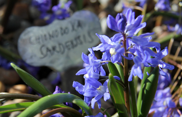 Kuva: Ada Pykäläniemi Kuva: Ada Pykäläniemi