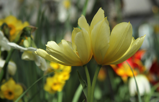 Kuva: Ada Pykäläniemi Kuva: Ada Pykäläniemi