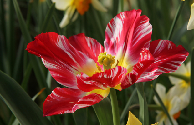 Kuva: Ada Pykäläniemi Kuva: Ada Pykäläniemi