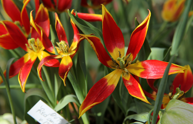 Kuva: Ada Pykäläniemi Kuva: Ada Pykäläniemi