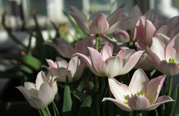 Kuva: Ada Pykäläniemi Kuva: Ada Pykäläniemi