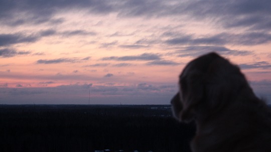 Hempukka kukkulalla. Kuva: Ada Pykäläniemi Hempukka kukkulalla. Kuva: Ada Pykäläniemi