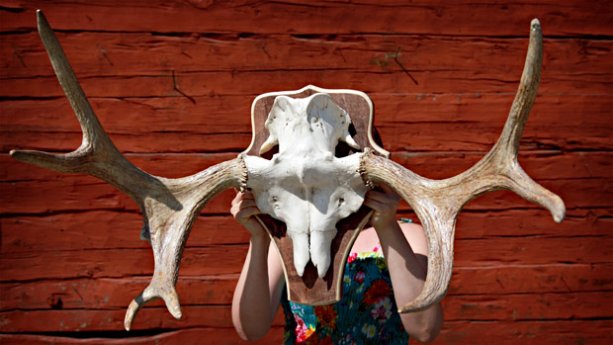 Hirvensarvia ja muita miehisiä sisustuskötöstyksiä. Kuva: Tero Kyllönen, Yle. Hirvensarvia ja muita miehisiä sisustuskötöstyksiä. Kuva: Tero Kyllönen, Yle.