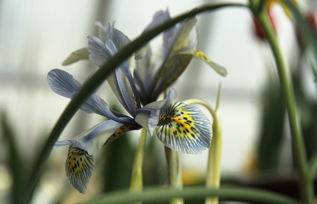 Kuva: Ada Pykäläniemi Kuva: Ada Pykäläniemi