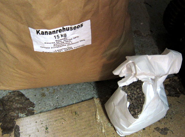 Kananrehu ja osterinkuori. Kuva: Laitakaupungin kanat. Kananrehu ja osterinkuori. Kuva: Laitakaupungin kanat.