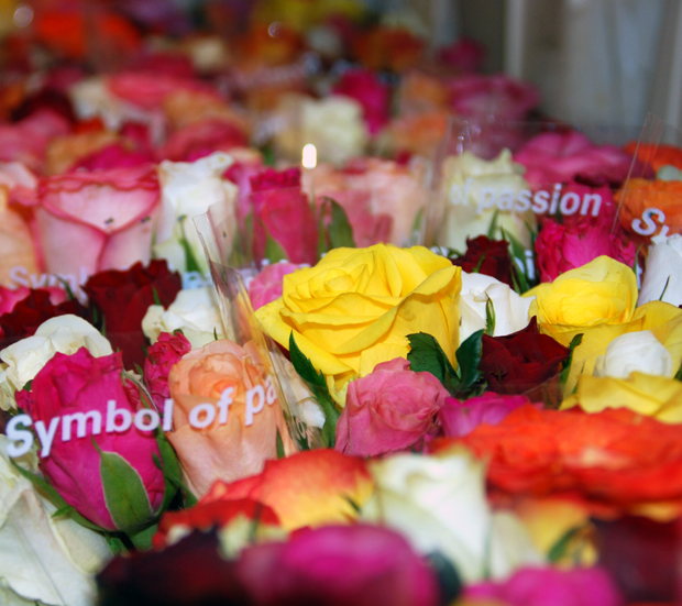 Nyt ostetaan kukkia äidille! Kuva: Yle Olotila, Anni Alatalo. Nyt ostetaan kukkia äidille! Kuva: Yle Olotila, Anni Alatalo.