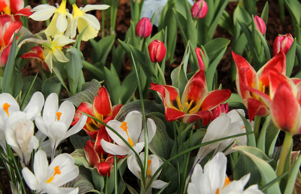 Kuva: Ada Pykäläniemi Kuva: Ada Pykäläniemi