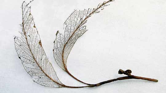 Millainen olisi henkinen testamentti? Kuva: stock.xchng