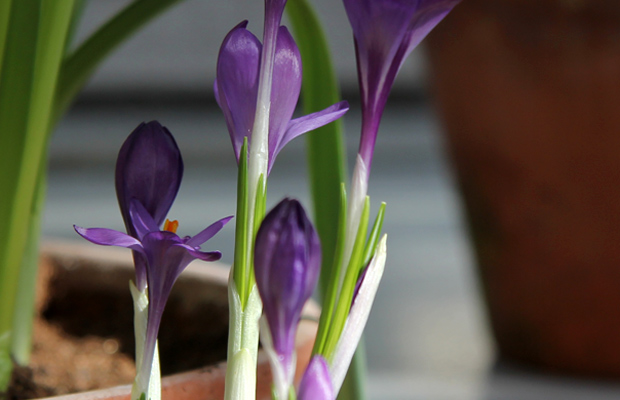 Kuva: Ada Pykäläniemi Kuva: Ada Pykäläniemi