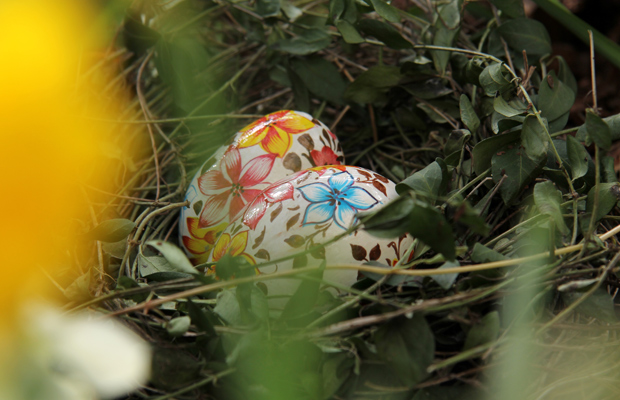 Kuva: Ada Pykäläniemi Kuva: Ada Pykäläniemi