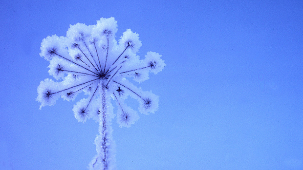 Pieni pakomatka kuva: YLE/Pentti Kallinen Pieni pakomatka kuva: YLE/Pentti Kallinen