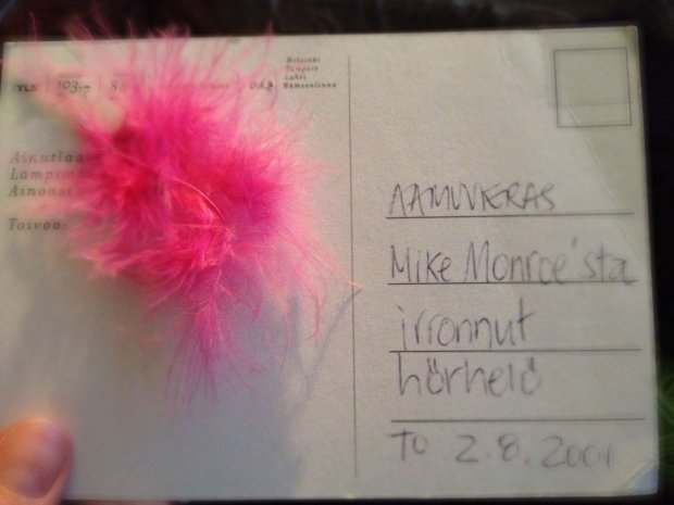 Aito Miken sulkahuivin sulka