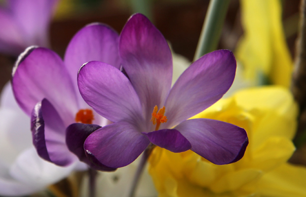 Kuva: Ada Pykäläniemi Kuva: Ada Pykäläniemi