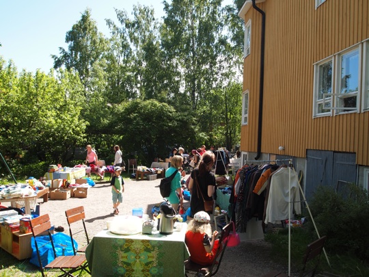 Pihakirppis Pihakirppis