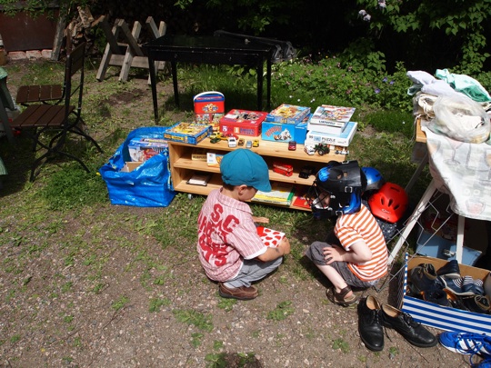 Pihakirppis Pihakirppis