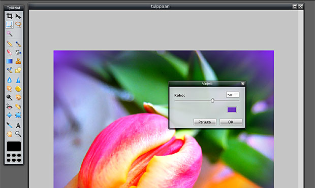 Kuvakaappaus pixlr.com Kuvakaappaus pixlr.com