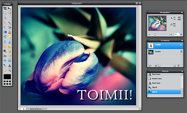 Kuvakaappaus pixlr.com Kuvakaappaus pixlr.com