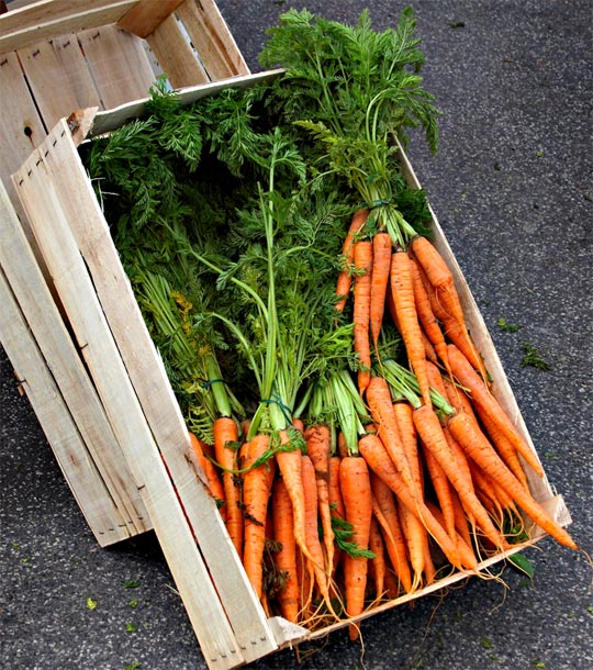 Hanna Leinonen on Aamu-tv:n uusi aamukokki syksyllä 2013. Kuva: Klaus Post, stock.xchng Hanna Leinonen on Aamu-tv:n uusi aamukokki syksyllä 2013. Kuva: Klaus Post, stock.xchng