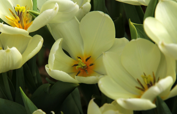 Kuva: Ada Pykäläniemi Kuva: Ada Pykäläniemi