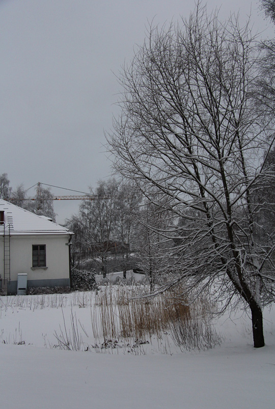 Lumi kaunistaa maisemaa. Kuva: Ada Pykäläniemi Lumi kaunistaa maisemaa. Kuva: Ada Pykäläniemi
