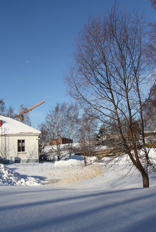 Valoisa aika on selvästi pidentynyt. Kuva: Ada Pykäläniemi Valoisa aika on selvästi pidentynyt. Kuva: Ada Pykäläniemi