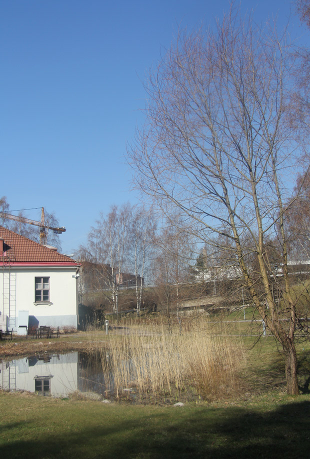 Kuva: Ada Pykäläniemi Kuva: Ada Pykäläniemi