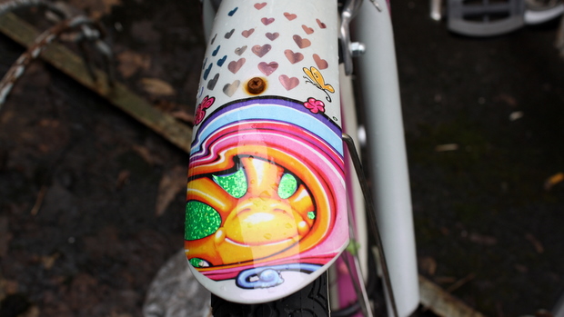 Pirteännäköinen rapasuoja. Kuva: Liisa Koivisto