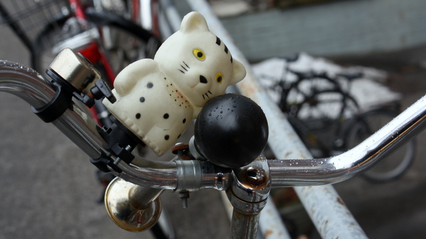 Kissa ja tööttitorvi ovat kaverit. Kuva: Liisa Koivisto