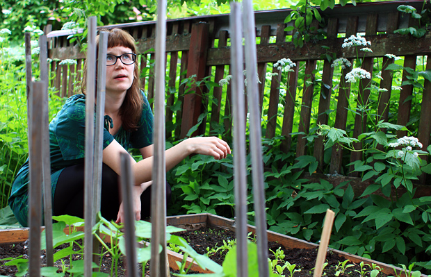 Kaupunkirenki viljelee toisen pihalla - kaikkien iloksi. Kuva: Siiri Huttunen