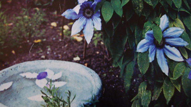 Millaisessa kuvassa sinä lepäät?