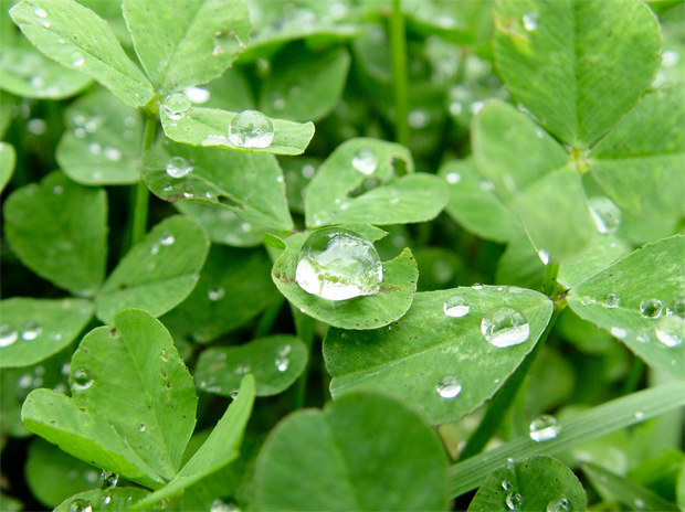 Millaisessa kuvassa sinä lepäät? Kuva: Clearly Ambiguous/flickr