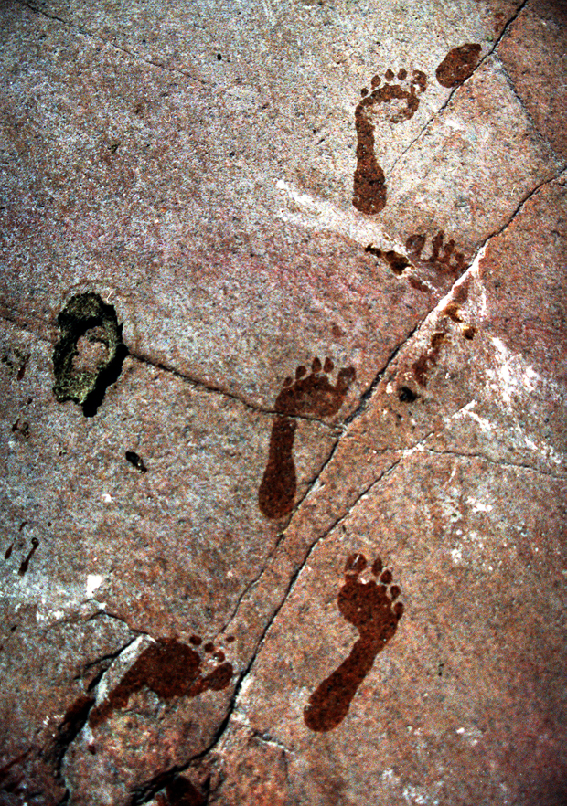 Luonto on täyshoitopaketti: ilmainen, nopea ja takuuvarma. Kuva: Seppo Sarkkinen, Yle Luonto on täyshoitopaketti: ilmainen, nopea ja takuuvarma. Kuva: Seppo Sarkkinen, Yle