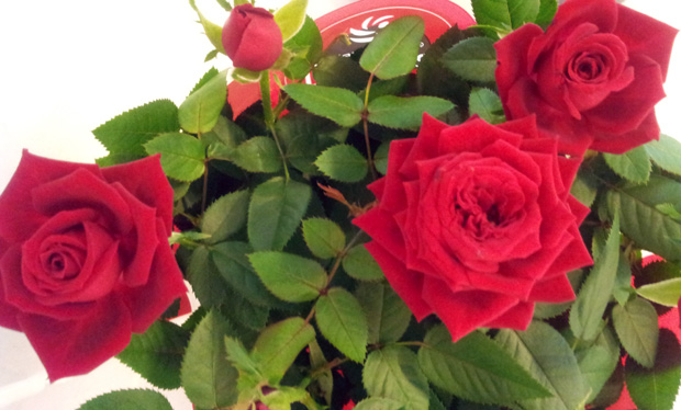 Nyt ostetaan kukkia äidille! Kuva: Yle Olotila, Anni Alatalo. Nyt ostetaan kukkia äidille! Kuva: Yle Olotila, Anni Alatalo.