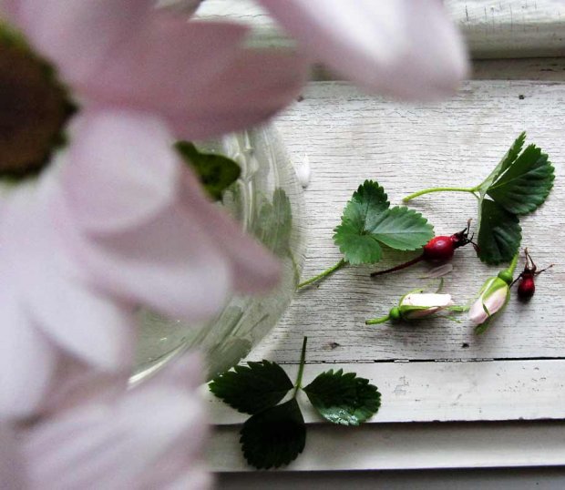 Kieputtele kranssipohja oksista tai villiviinistä. Kuva: Yle Olotila, Ulla Vuorela Kieputtele kranssipohja oksista tai villiviinistä. Kuva: Yle Olotila, Ulla Vuorela