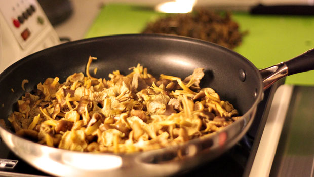 Suppilovahveroita riittää nyt metsissä Kuva: Taina Lehmuskoski