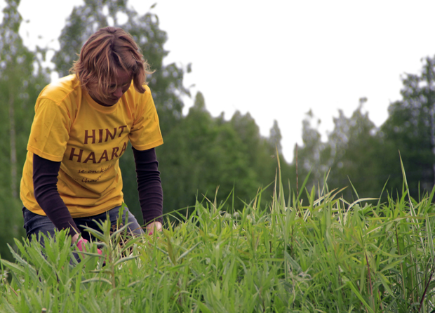 Sissipuutarhurit 5.7.2012 TV2. Kuvat: Eero Liimatainen Sissipuutarhurit 5.7.2012 TV2. Kuvat: Eero Liimatainen