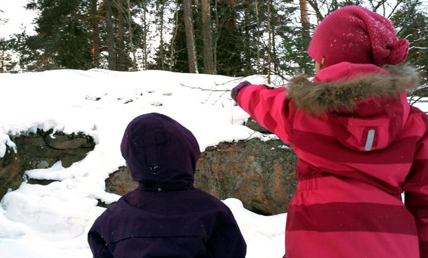 Pihabongaus. Kuva: Yle Olotila, Anni Alatalo.
