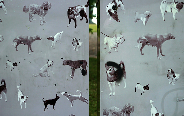 Katutaide Turussa. Kuva: Siiri Huttunen, Yle Olotila