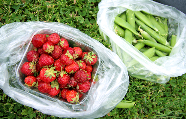 Turku on my mind. Kuva: Siiri Huttunen, Yle Olotila
